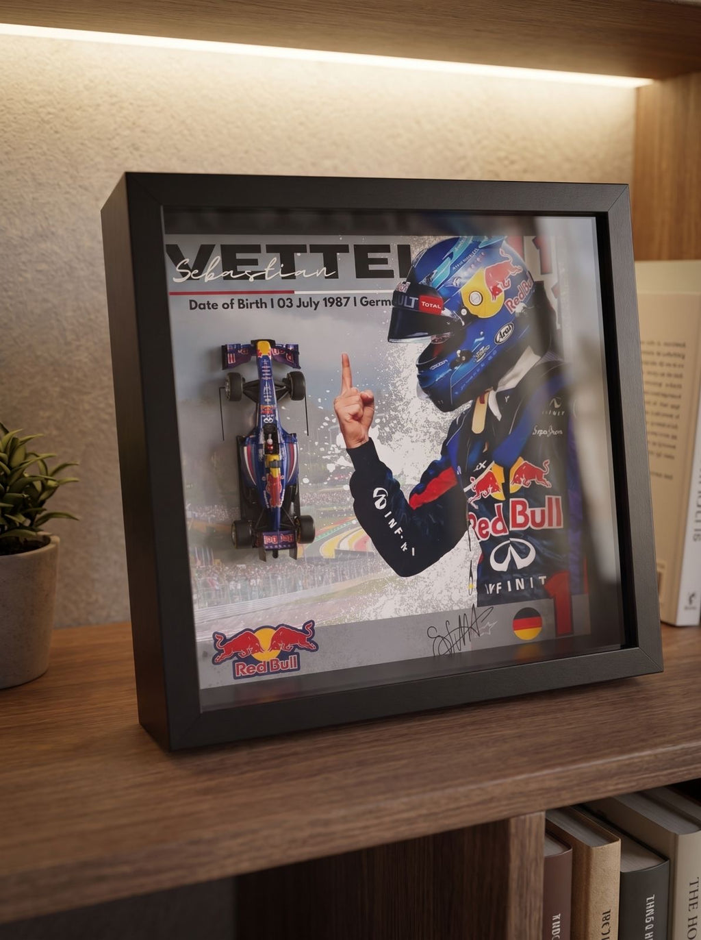 Sebastian Vettel #1 RedBull 2013