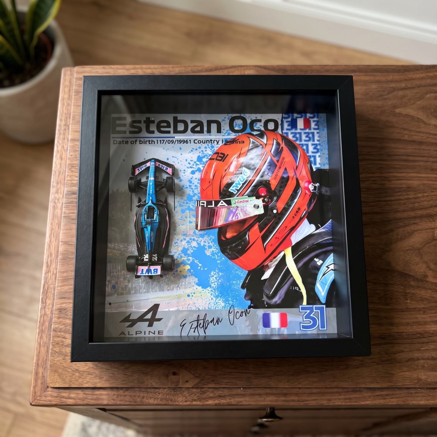 Esteban Ocon #31 Alpina